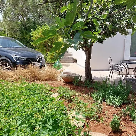 All'ombra Dell'ulivo * Monopoli